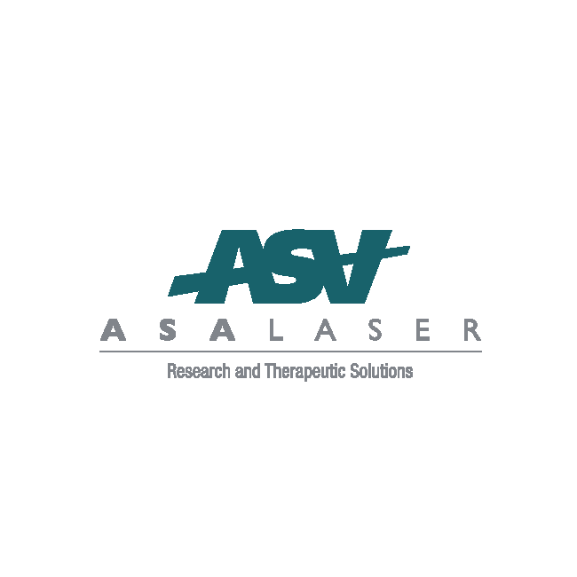 Logo ASV